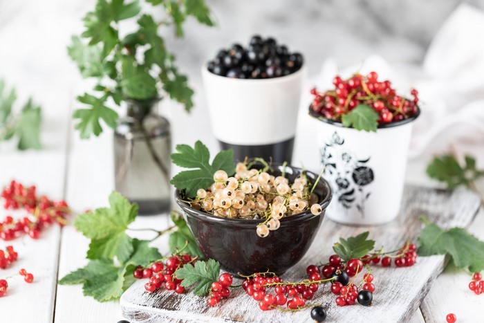 Red, white, and black currants with leaves