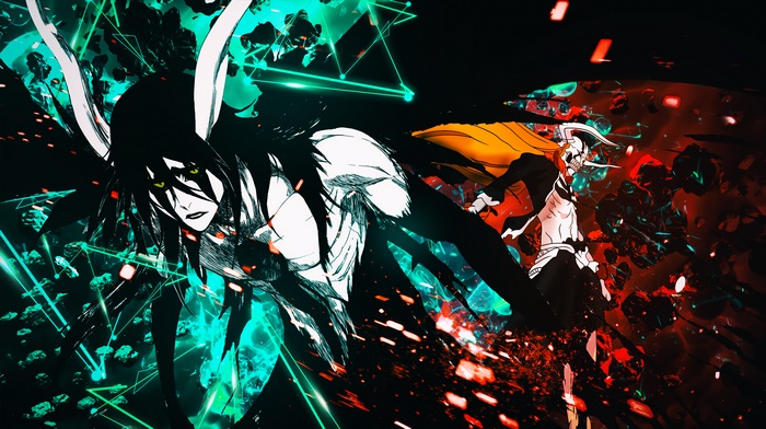Ichigo Kurosaki and Ulquiorra Cifer in Bleach