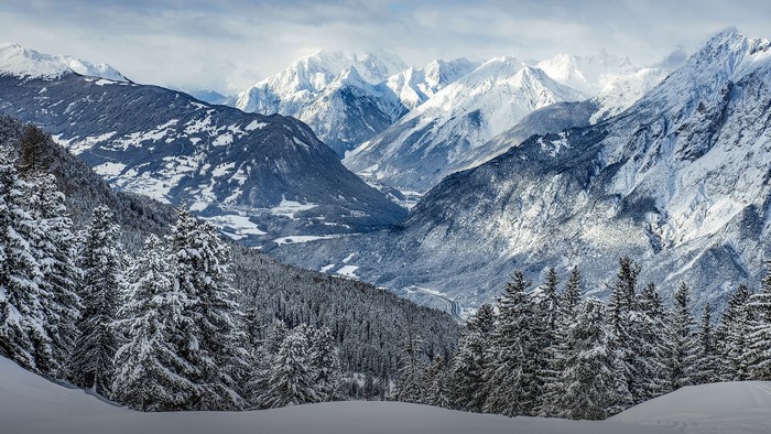 Snowy Alps mountain valley with pine forest