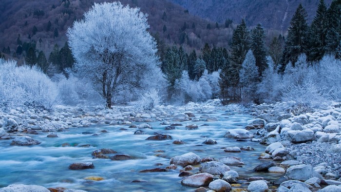 Winter landscape with a frozen river and frosted trees in Slovenia