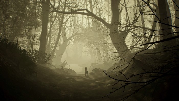 A dog walks through a foggy forest in Blair Witch