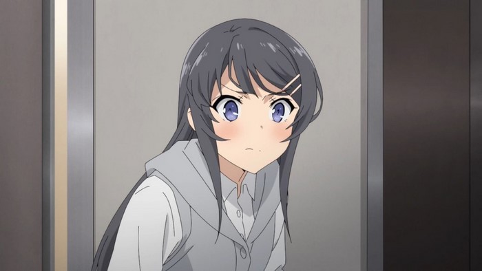 Sakurajima Mai from Seishun Buta Yarō wa Bunny Girl-senpai no Yume wo Minai