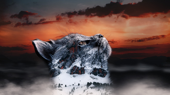 Cat with mountain landscape overlay at sunset