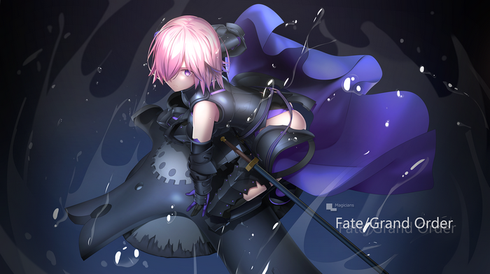 Mash Kyrielight from Fate/Grand Order