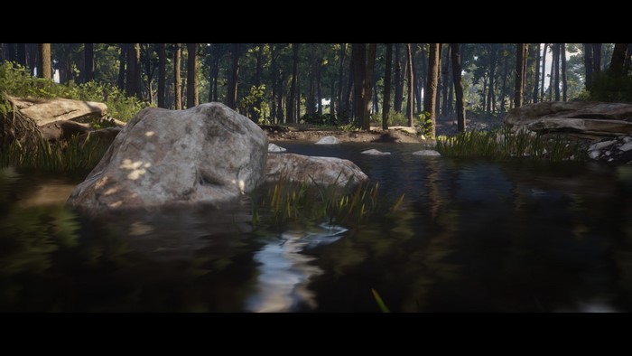 Nature scene from Red Dead Redemption 2