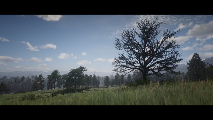 Nature scene from Rockstar Games video game