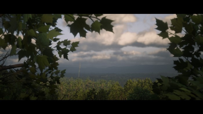 Red Dead Redemption 2 Landscape
