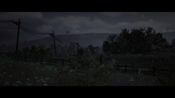 Red Dead Redemption 2 landscape with telephone poles at night