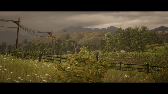 Red Dead Redemption 2 landscape with telephone poles