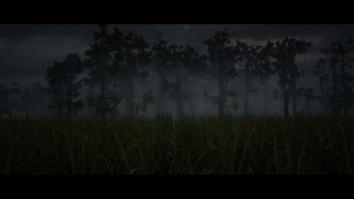 Red Dead Redemption 2 Swamp Landscape