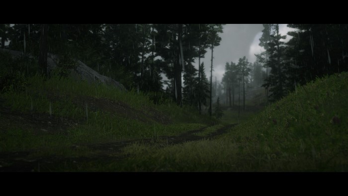 Red Dead Redemption 2 forest path during rain