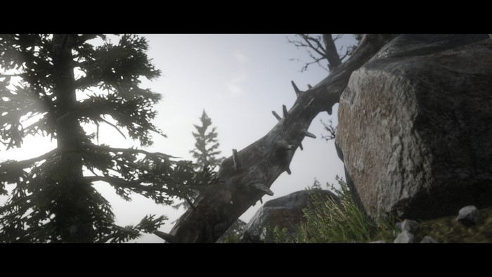 Red Dead Redemption 2 nature scene