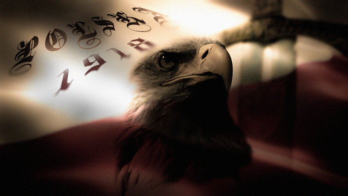 Eagle and Polish flag with text
