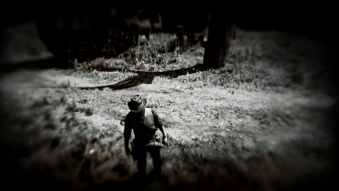Man in hat in Red Dead Redemption 2 landscape