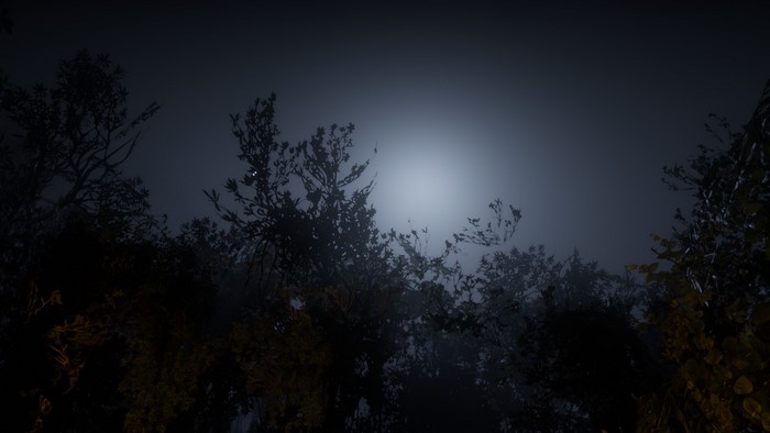 Red Dead Redemption 2 night forest landscape
