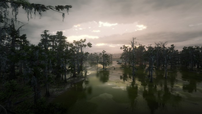 Swamp landscape in Red Dead Redemption 2