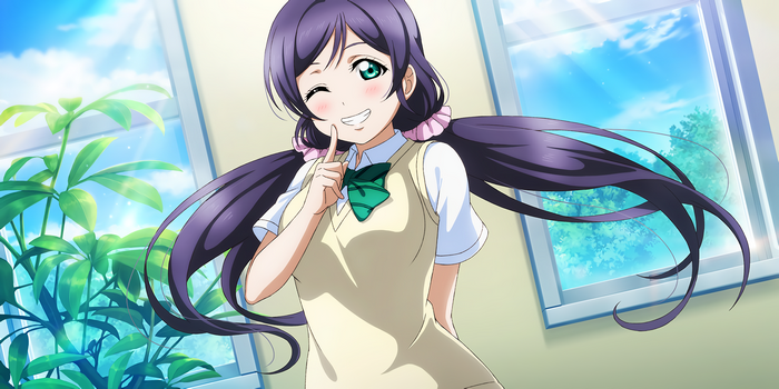 Toujou Nozomi from Love Live! Series