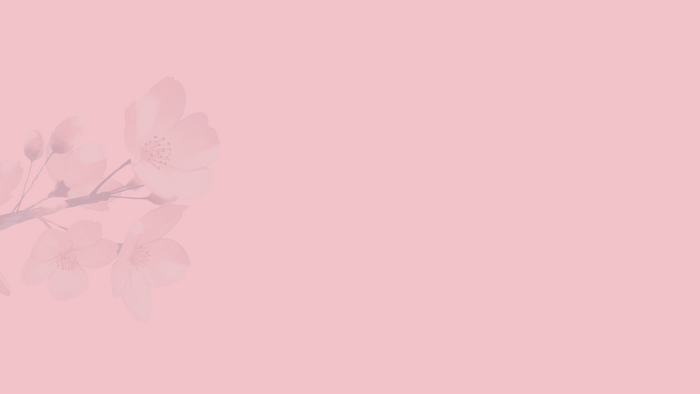 Cherry blossoms on a pink background
