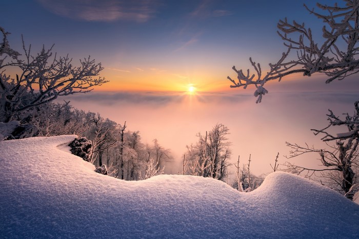 Winter sunrise over a foggy valley with snow-covered trees