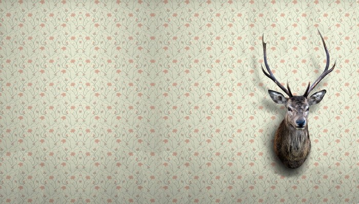 Deer head mounted on a floral patterned wall