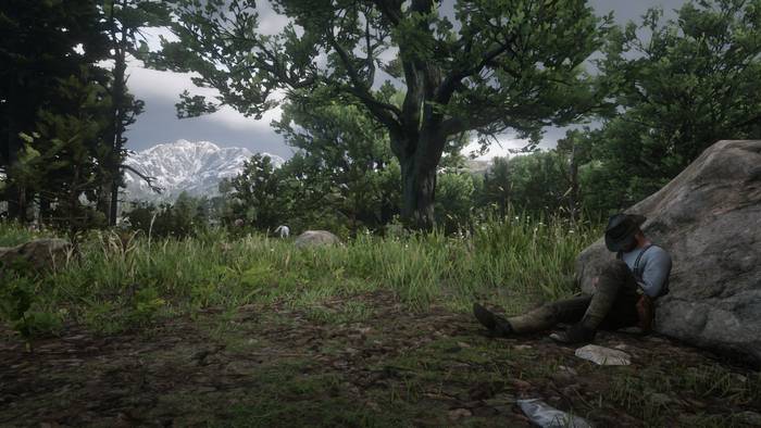 Man resting against a rock in Red Dead Redemption 2