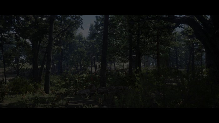 Red Dead Redemption 2 forest scenery