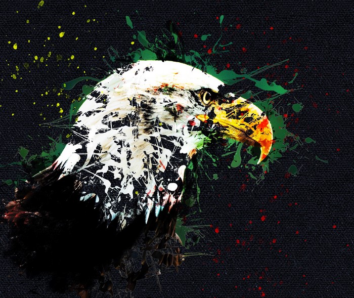 Eagle with colorful paint splatters