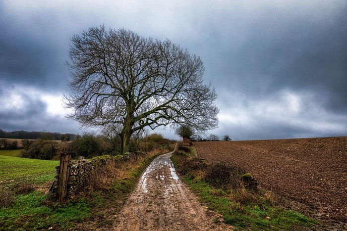 Muddy dirt road through a rural landscape
