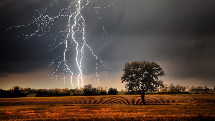 Lightning strikes over a farm landscape during a monsoon