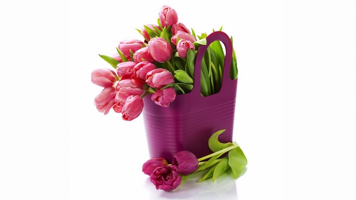 Pink tulips in a purple bag on a white background
