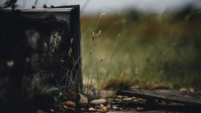 Pebbles and grass by weathered wood
