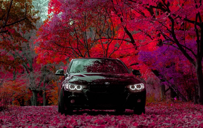Black BMW 3 Series F30 parked on a leaf-covered road with red trees