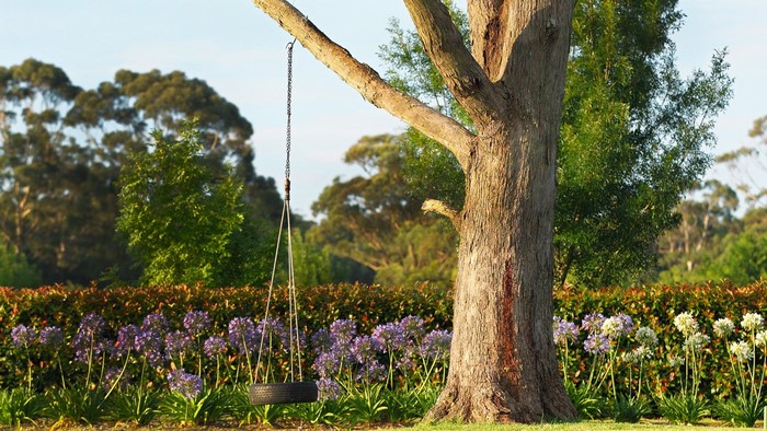 Tire swing hanging from a tree with flowers