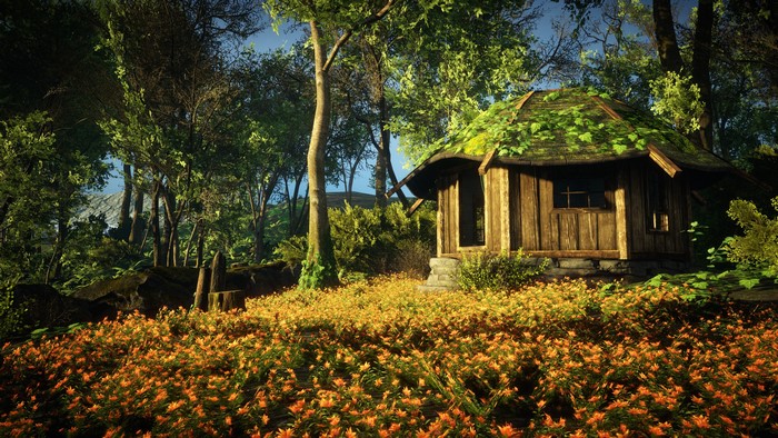 Wooden cabin in a forest with orange flowers