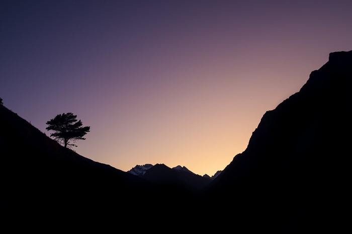 Silhouette of a lone tree on a mountain slope at sunset