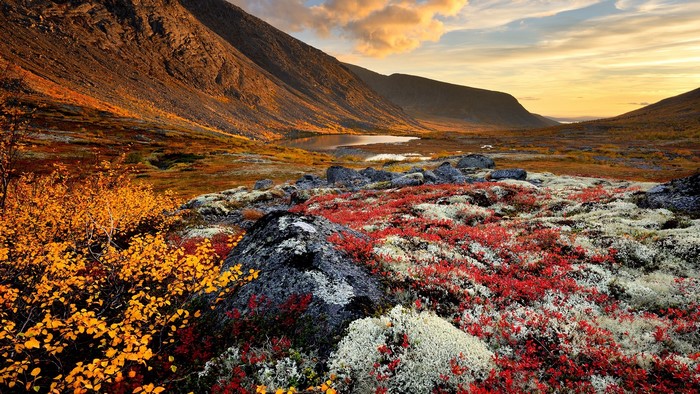 Autumn tundra landscape with mountains and lake in Khibiny Mountains, Russia