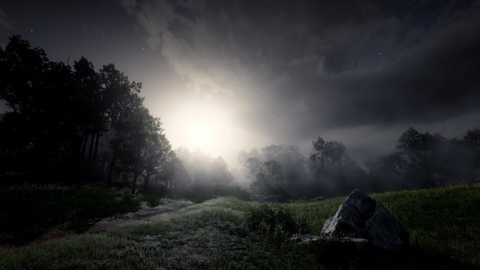 Red Dead Redemption 2 screenshot of a foggy forest at night
