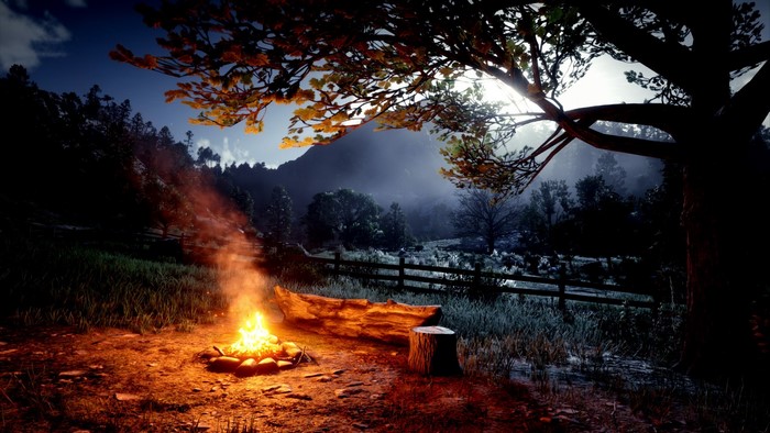 Campfire in Red Dead Redemption 2