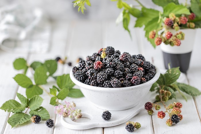 Bowl of fresh blackberries with leaves and flowers