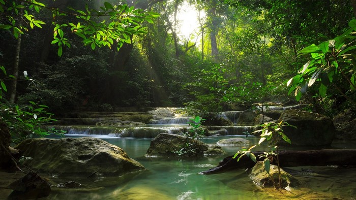 Waterfall in a lush green forest with sun rays
