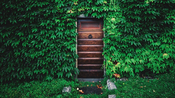 Wooden door covered in ivy in Italy