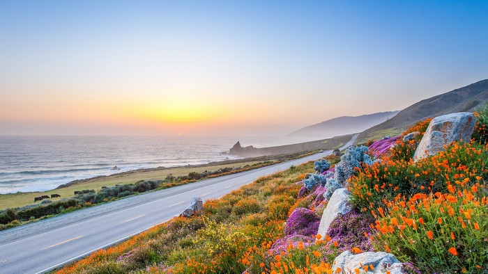 Coastal highway with wildflowers and ocean sunset