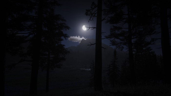 4K Red Dead Redemption 2 Night Mountain Forest