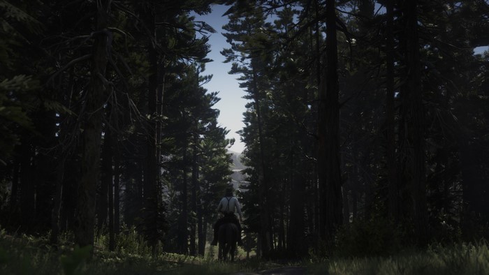 4K Red Dead Redemption 2 on Xbox One X