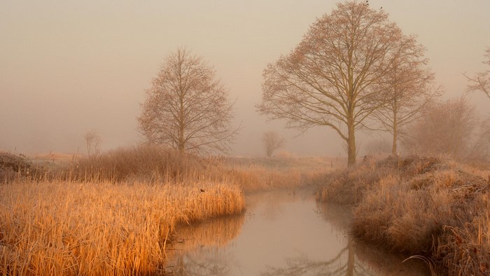 Misty river landscape with frosted trees and grass