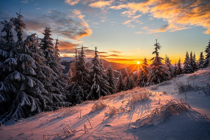 Winter sunrise over snow-covered trees in mountains