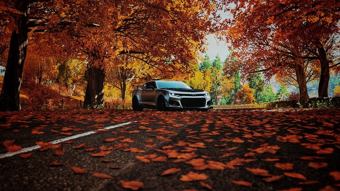Chevrolet Camaro ZL1 1LE in Forza Horizon 4 during fall