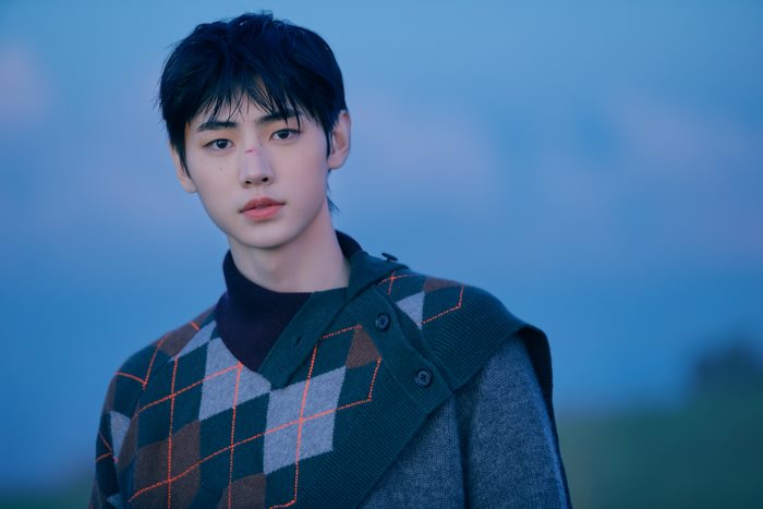 Sunghoon ENHYPEN in a patterned sweater