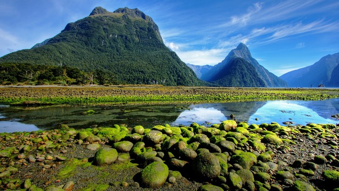 Mossy rocks and mountains reflected in Milford Sound, New Zealand
