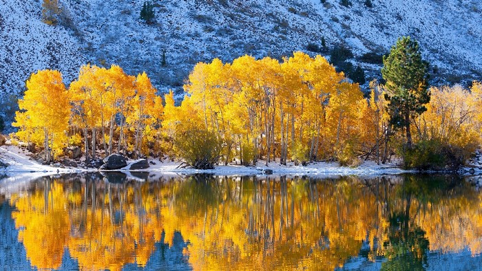 Autumn trees reflecting in a lake with snow-covered mountain